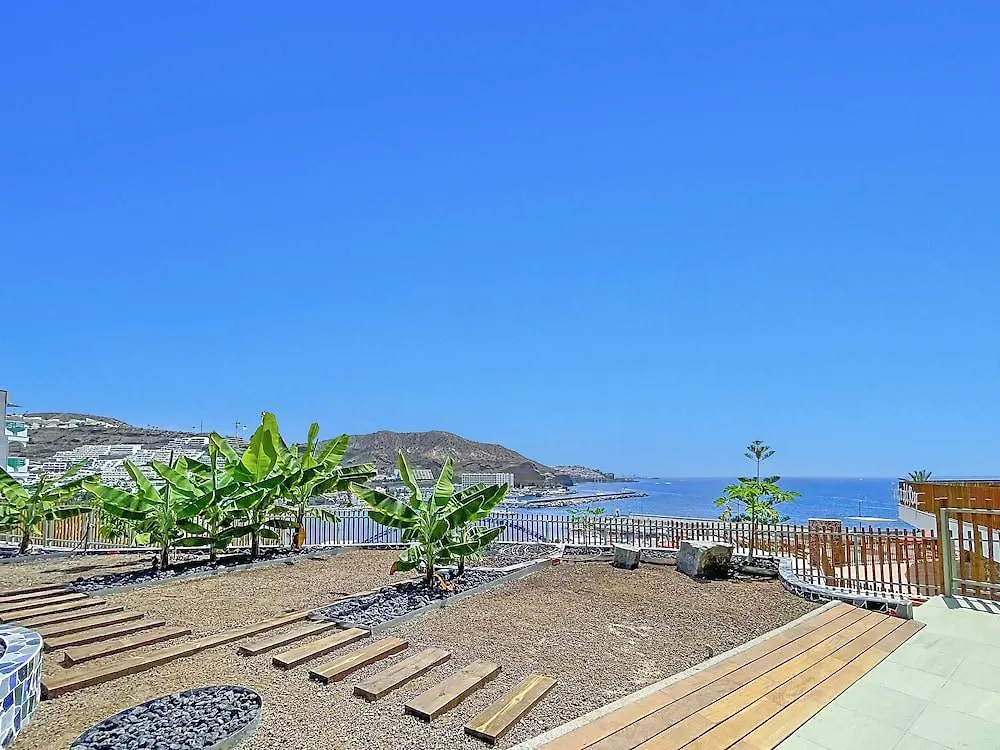 波多黎各 Punta Del Rey (Adults Only)酒店 2*,  西班牙