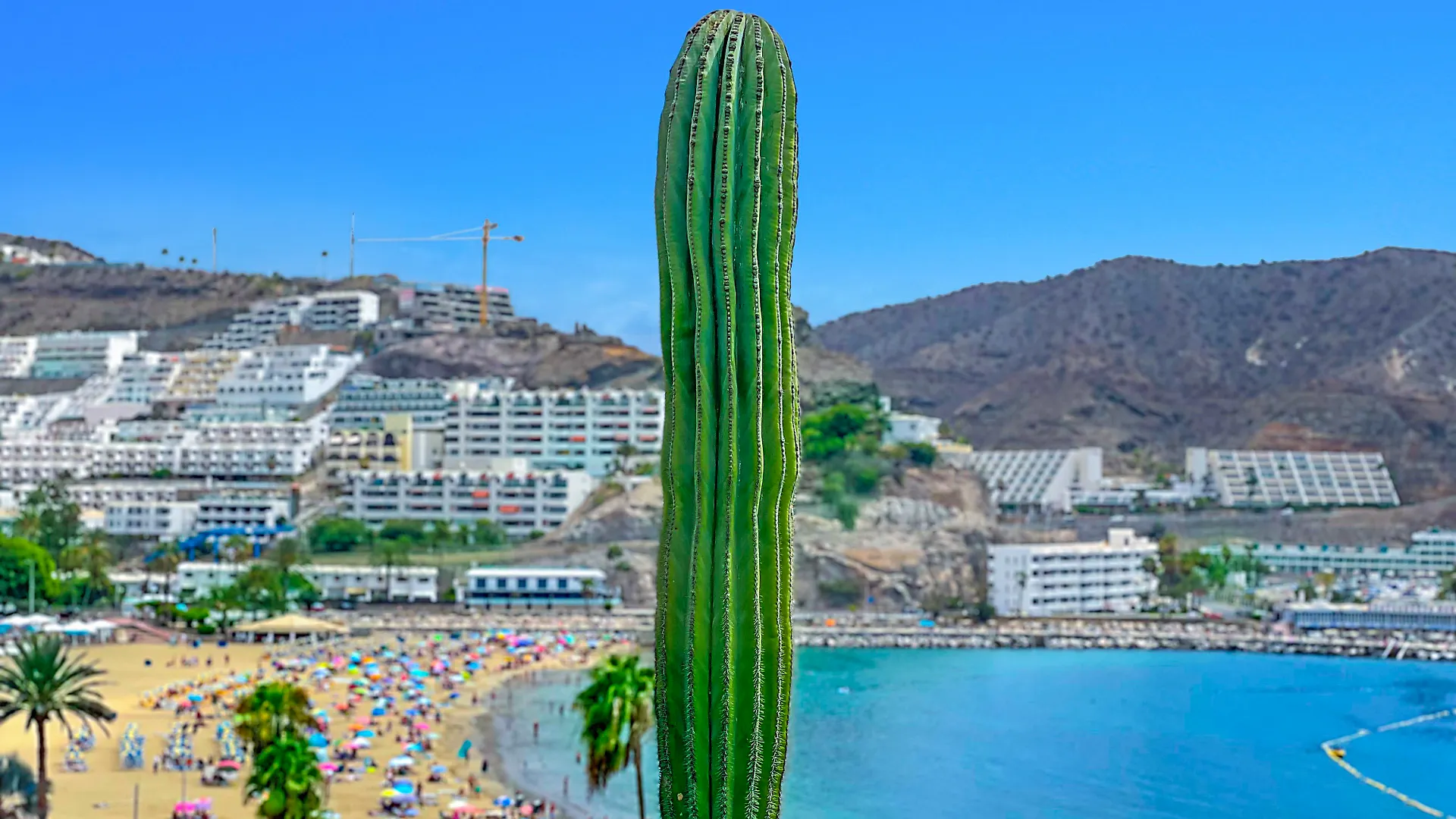 Punta Del Rey (Adults Only) location